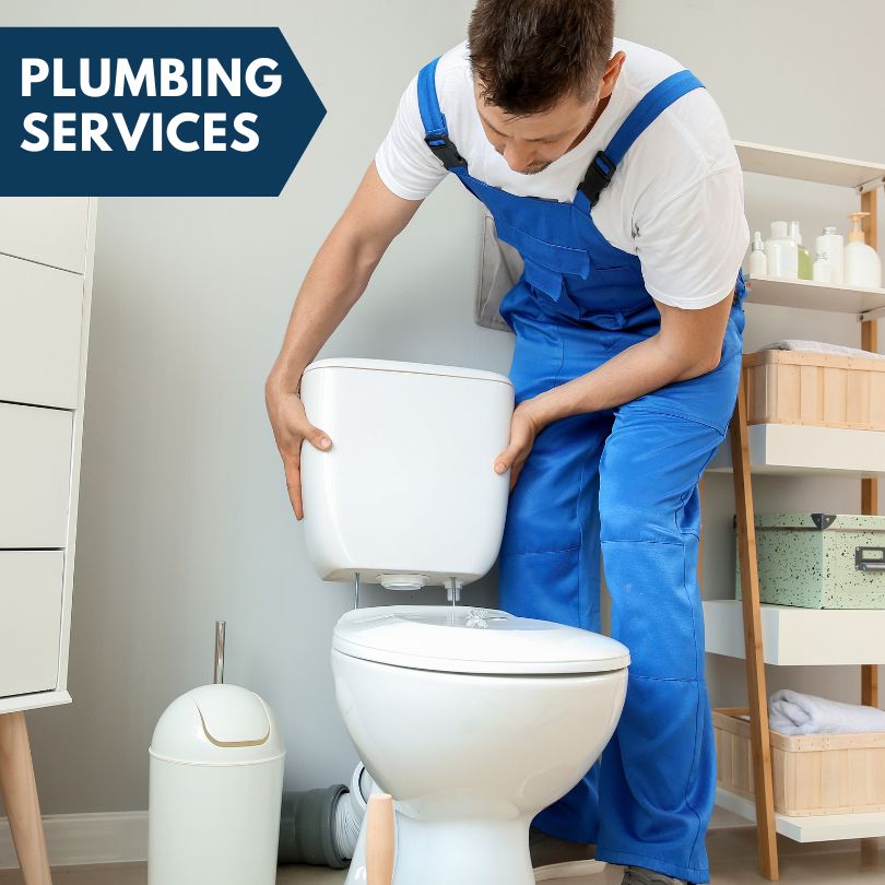 Plumbing Company in La Grange, IL